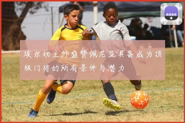 埃尔切主帅盛赞佩尼亚具备成为顶级门将的所有条件与潜力