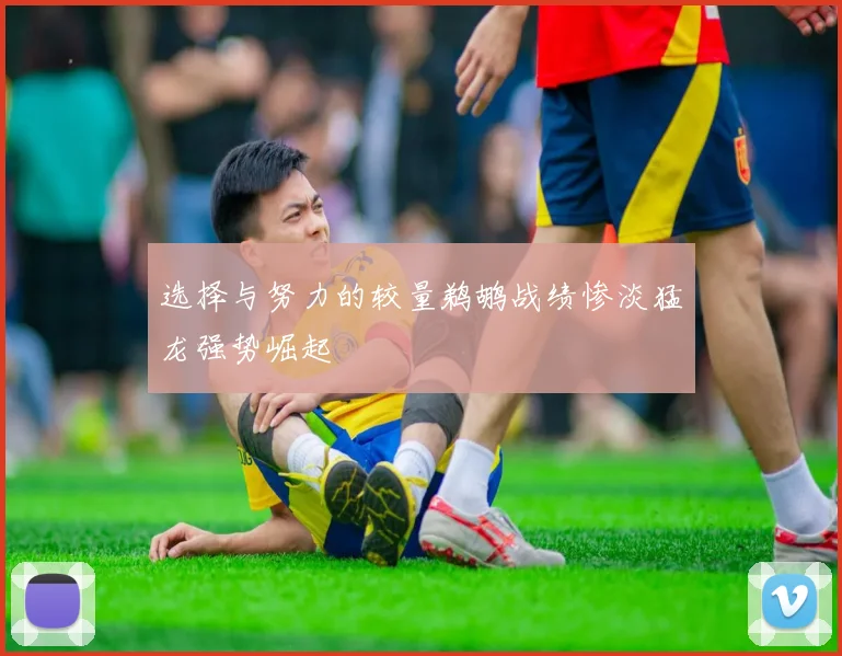选择与努力的较量鹈鹕战绩惨淡猛龙强势崛起